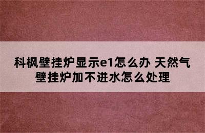 科枫壁挂炉显示e1怎么办 天然气壁挂炉加不进水怎么处理